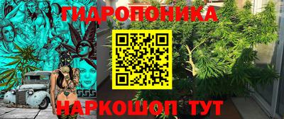a pvp Кинель